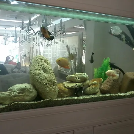 Appartement Private In Harmony Dream Island Slantchev Briag