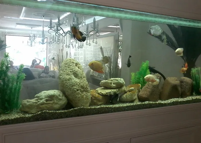 Apartament Private In Harmony Dream Island Sunny Beach